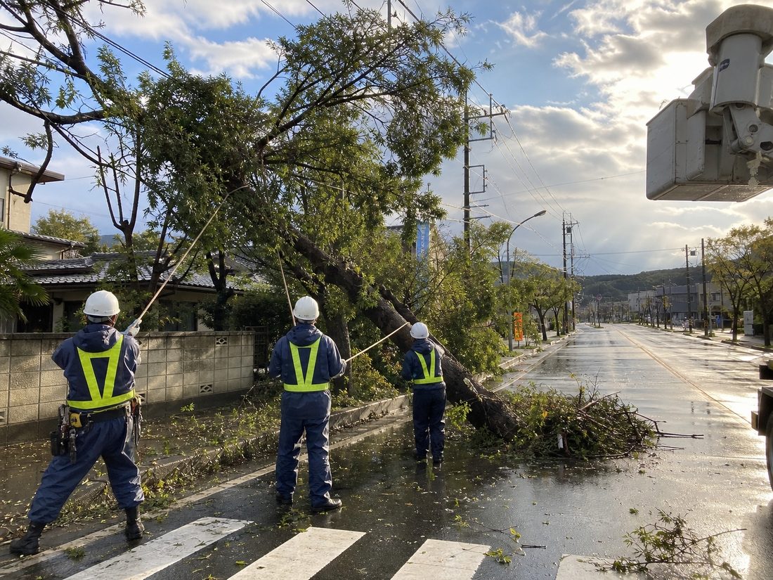 台風通過後の街路で、傾いた街路樹にロープをかけて処理する復旧作業